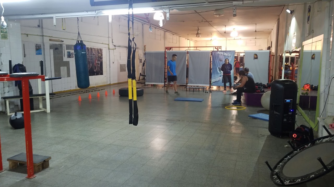 Interior moderno del gimnasio Vivi Sport con luz natural y máquinas de peso libre