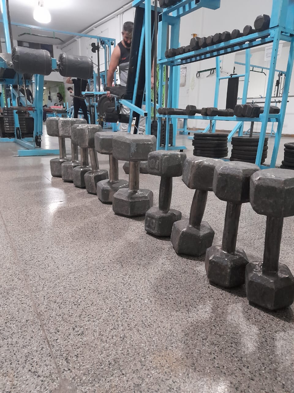 Sector de pesos libres de Vivi Sport